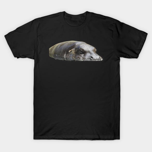 Pygmy Hippo T-Shirt by Sharonzoolady